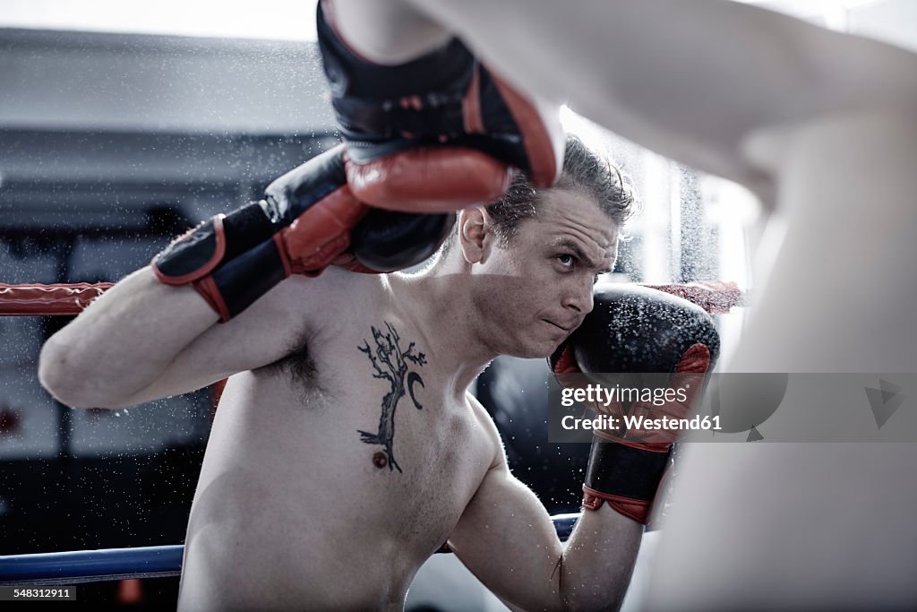 Two boxers fighting in ring