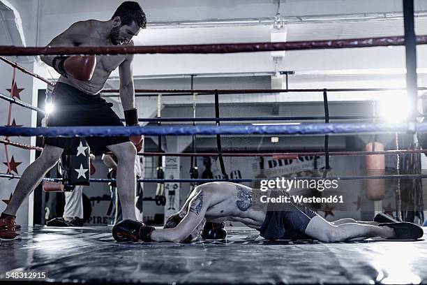 boxer knocking out his opponent - hard fought victory stock-fotos und bilder