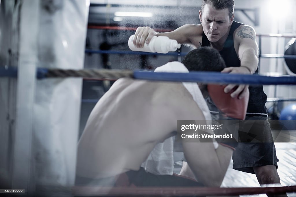 Boxer having a break with trainer in the corner of the boxing ring