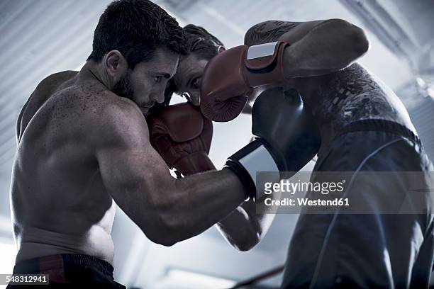 two boxers fighting in ring - belly punching stock pictures, royalty-free photos & images