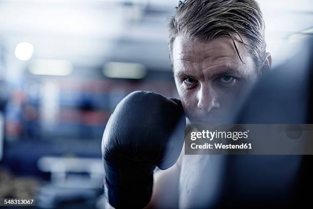 boxer fighting - box front view stock pictures, royalty-free photos & images