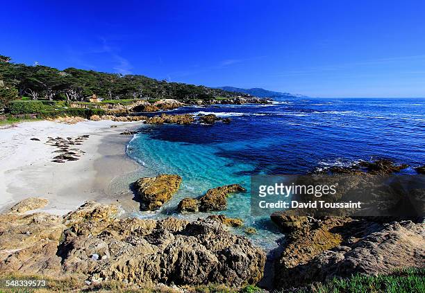 seal beach along 17 mile drive - pebble beach california stockfoto's en -beelden