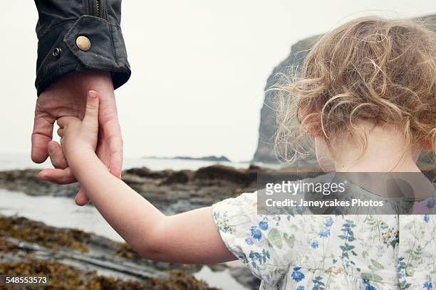 cropped image of female toddler holding fathers hand whilst strolling on beach, crackington haven, cornwall - holding hands kids stock-fotos und bilder