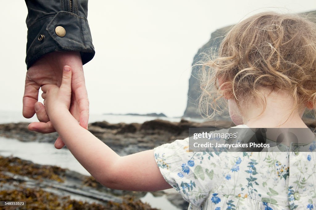 Cropped image of female toddler holding fathers hand whilst strolling on beach, Crackington Haven, Cornwall