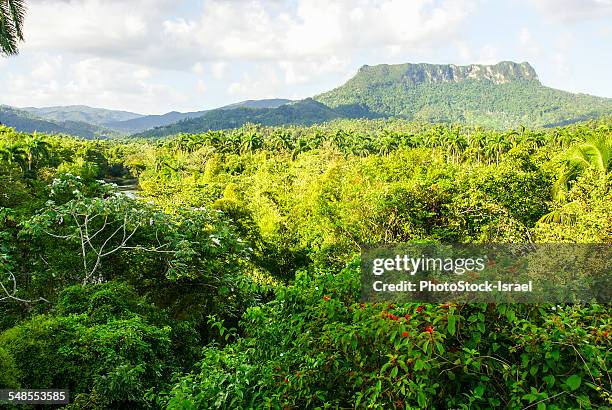 El Yunque Rocks Color 68 El Yunque Mountain Stock Photos, High-Res Pictures, and Images ...