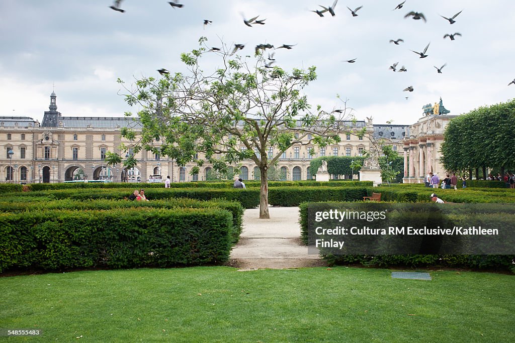 Jardins des Tuileries at the Louvres Museum, Paris, France