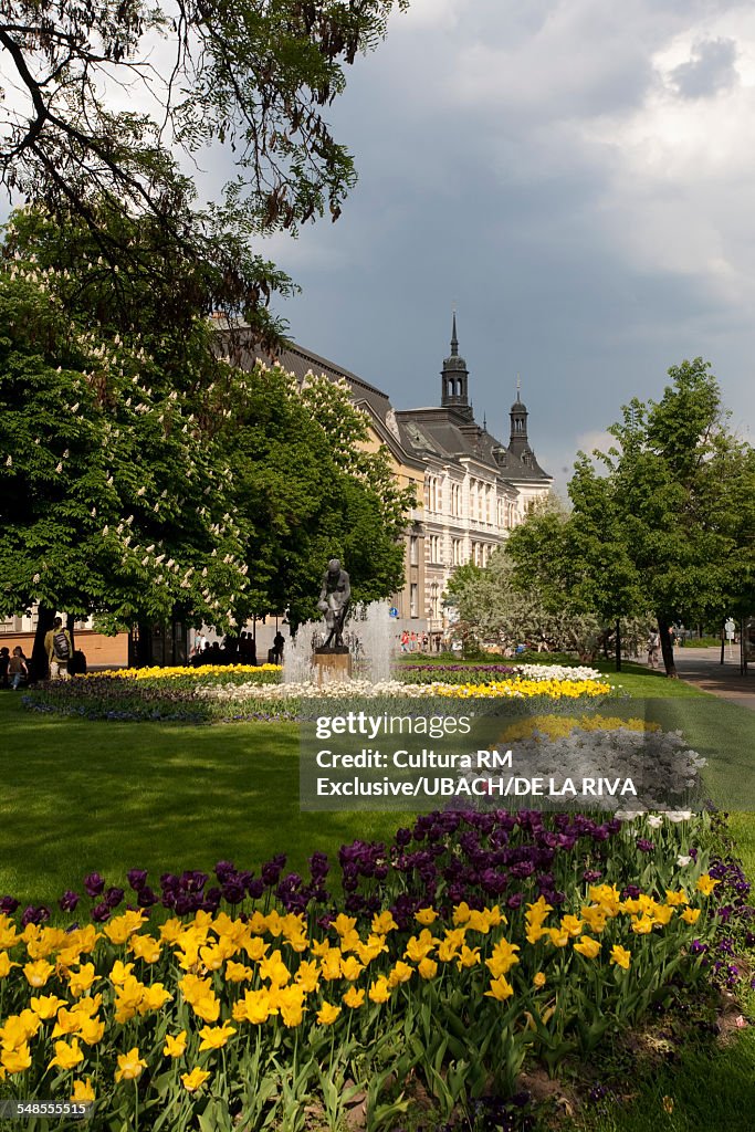 Garden flowerbeds at Plzen, Bohemia, Czech Republic