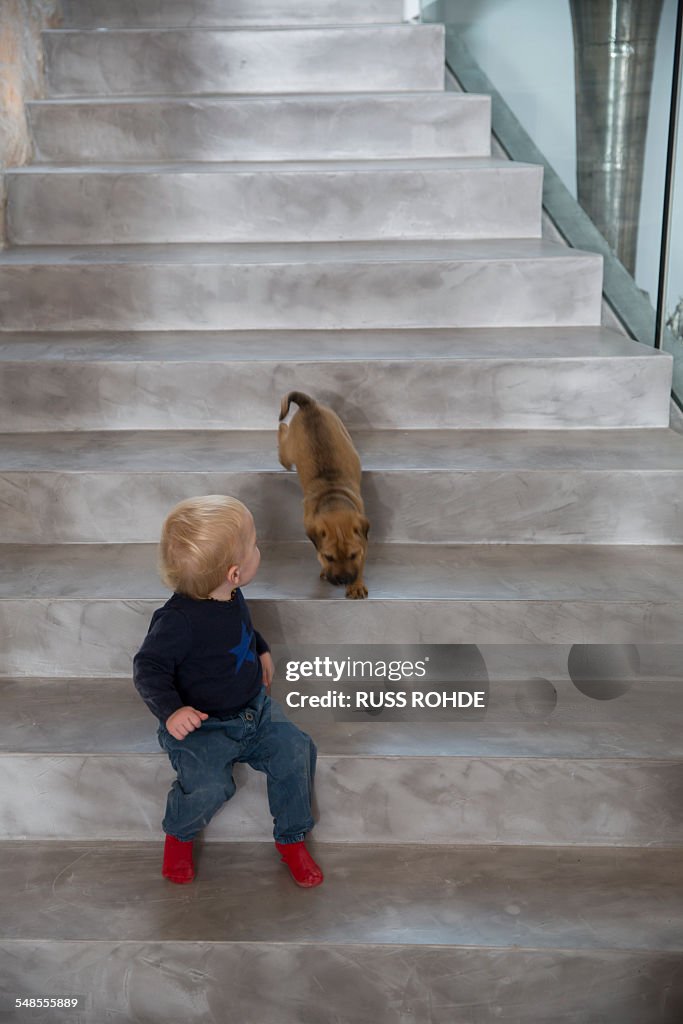 Male toddler sitting on house staircase looking over shoulder at puppy