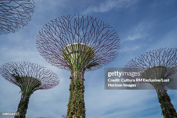 low angle view of futuristic tree sculptures, singapore - art contemporain sculpture photos et images de collection