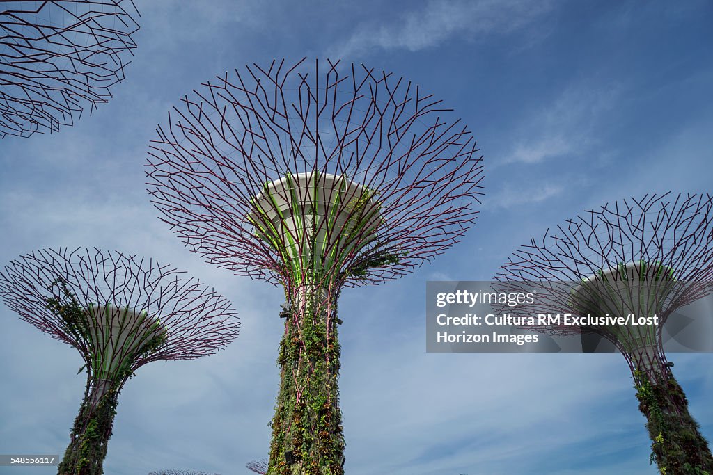 Low angle view of futuristic tree sculptures, Singapore