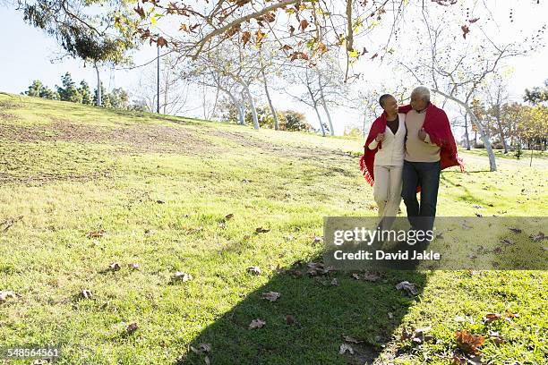 husband and wife taking walk, hahn park, los angeles, california, usa - african american couple walking park ストックフォトと画像