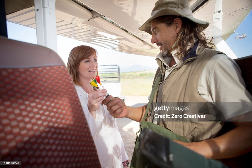 People beside plane with tranquilizer darts, Wellington, Western Cape, South Africa