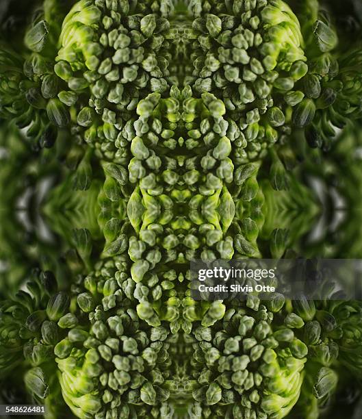 Broccoli flower buds