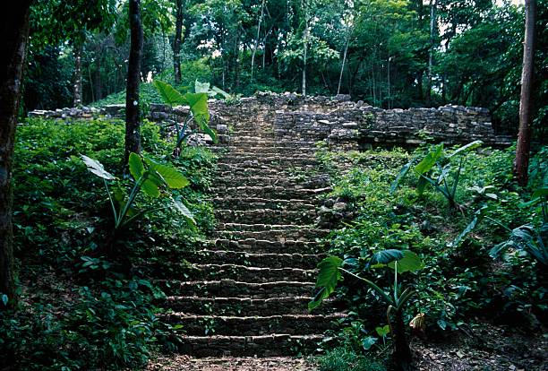 An overgrown temple, Palenque , Chiapas, Mexico. Mayan civilisation, 7th-8th century.