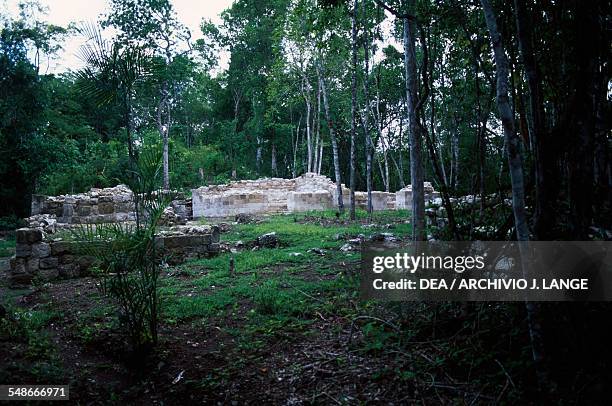 Buildings surrounded by trees in Balamku, Campeche, Mexico. Mayan civilisation, 4th-7th century.