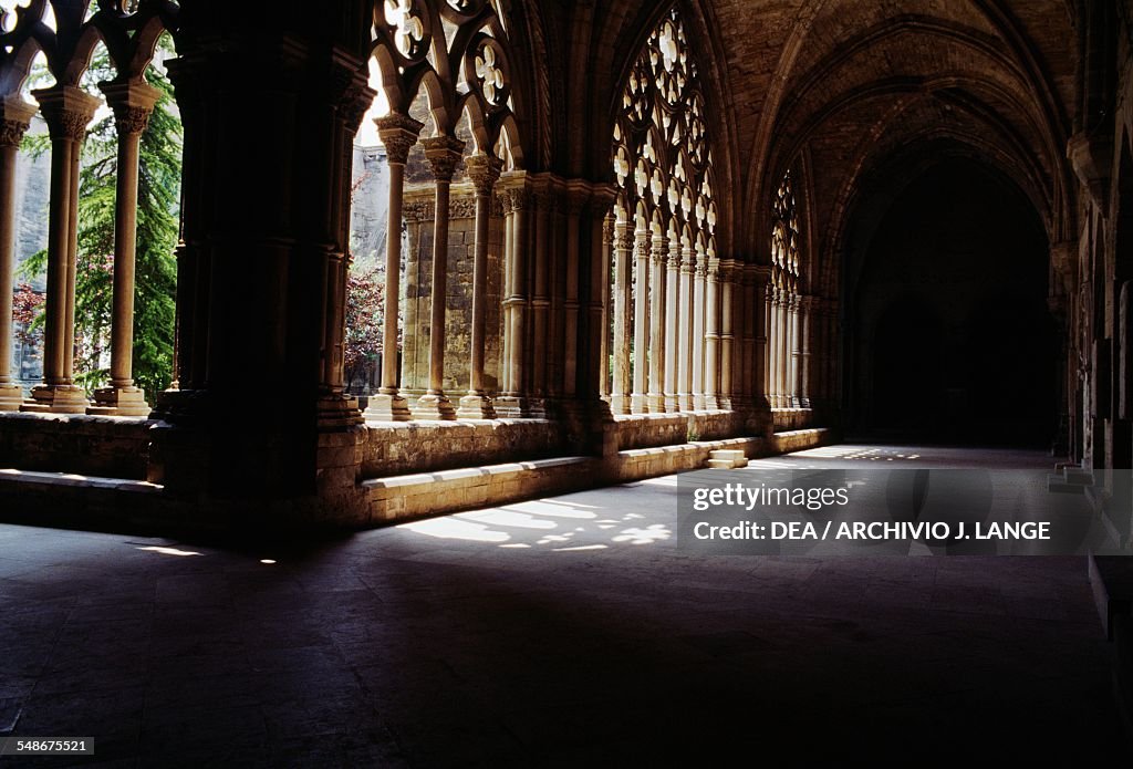 Gothic cloister of Cathedral de la Seu Vella