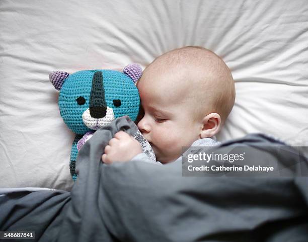 a 6 months old baby sleeping with his cuddly toy - baby stuffed animal stock pictures, royalty-free photos & images