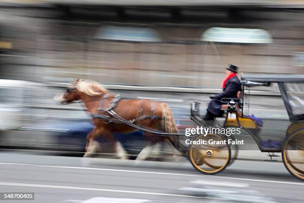 horse carriage - carriage stock pictures, royalty-free photos & images