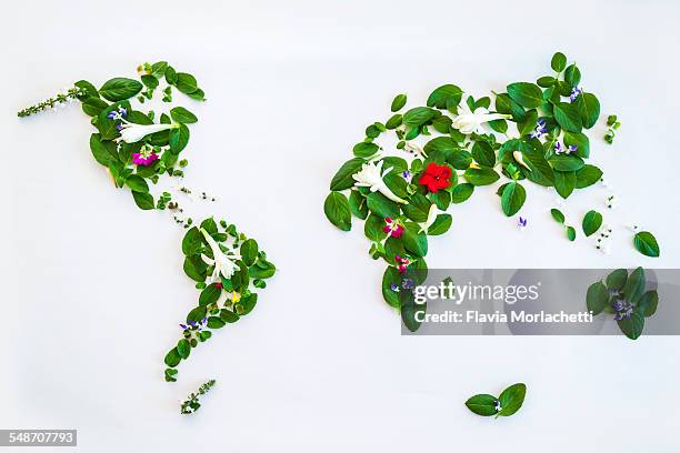 world map with leaves and flowers - mapa múndi imagens e fotografias de stock