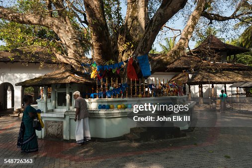 Vishnu Devale, Bodhi tree with devotees Vishnu Devale, Bodhi tree with devotees