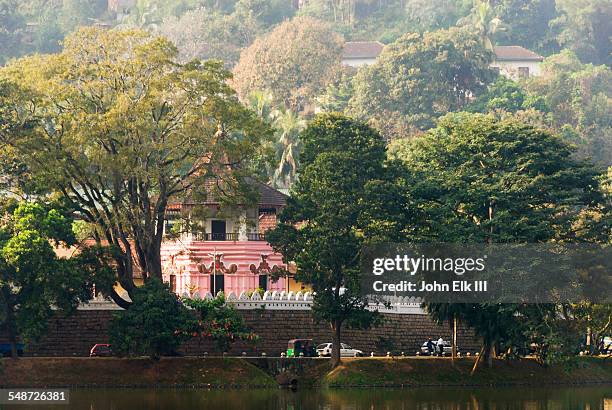 malwatte maha vihara - kandy sri lanka stock pictures, royalty-free photos & images