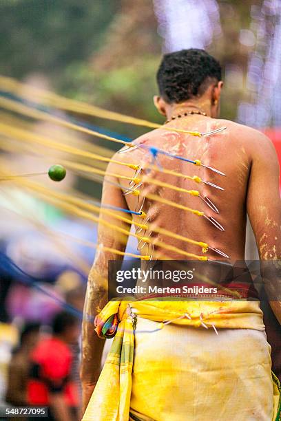 hooks piercing a devotee's back - thaipusam stock pictures, royalty-free photos & images