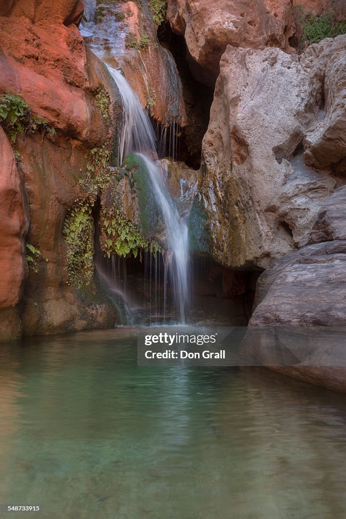 Elves Chasm Oasis