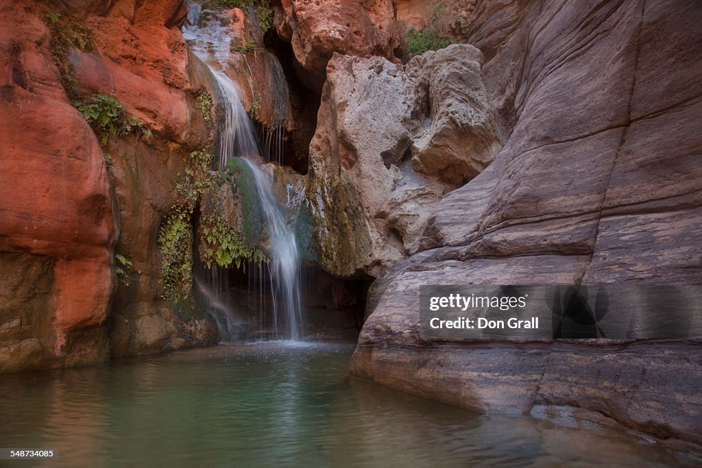 Elves Chasm Oasis