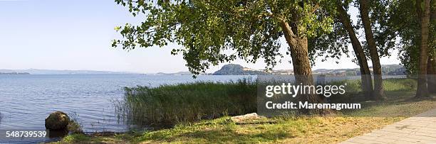 view of bolsena lake near gradoli - provinz viterbo stock-fotos und bilder