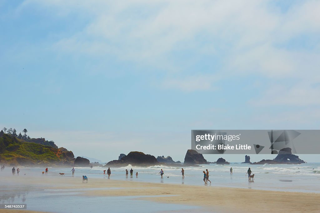 Indian Beach Ecola State Park Oregon