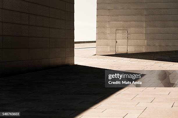 shadow play makes a dog`s face - oslo play stock pictures, royalty-free photos & images