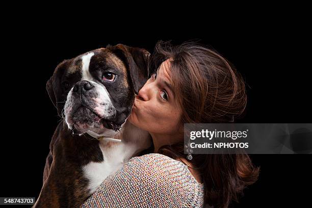 studio shot of woman holding dog - 2be3 stock pictures, royalty-free photos & images