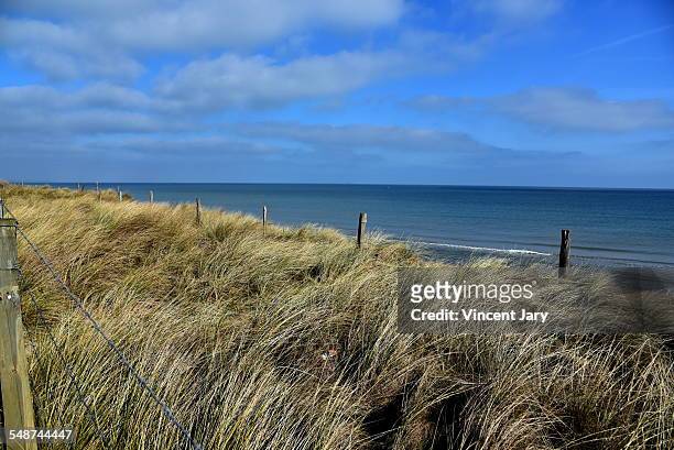 utah beach normandy seascape - manche foto e immagini stock