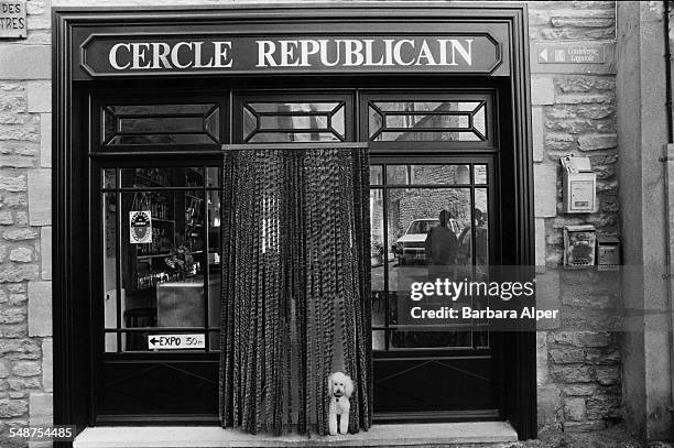 Poodle at the entrance to the Cercle Republicain cafe in the commune of Gordes in southeastern France, 3rd July 1992.