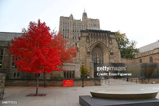 Yale University Library November 8, 2005