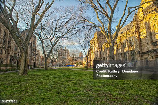 Yale University's Cross Campus looking towards Sterling Library. New Haven, Connecticut. Fall, 2013.