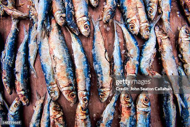 822 Eastern Samar Stock Photos, High-Res Pictures, and Images - Getty ...