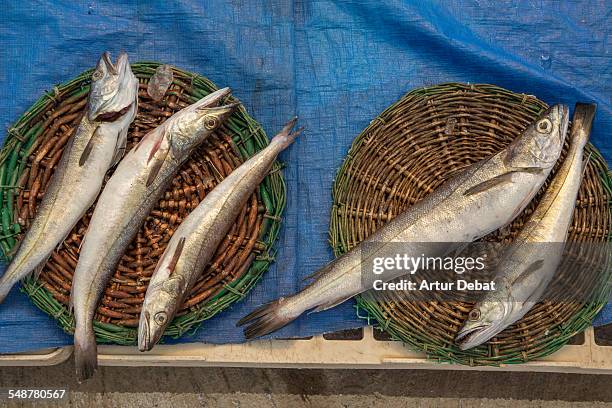 fresh fish  - maresme stock pictures, royalty-free photos & images