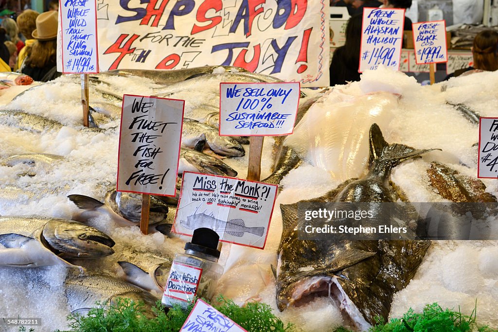 Fresh Fish