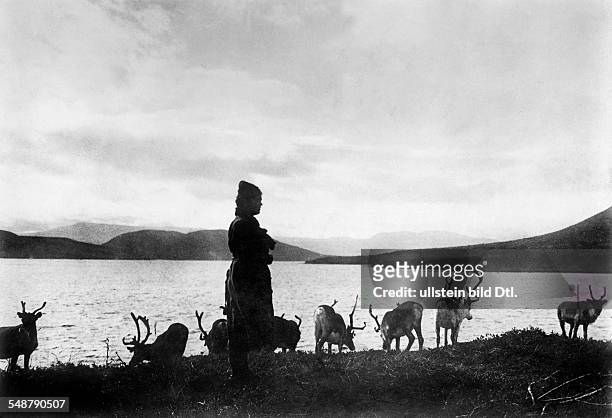 Finland Lapland A laplander woman shepherds a herd of reindeer - ca. 1928 - Photographer: Alfred Gross - Vintage property of ullstein bild
