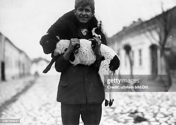 Kingdom of Serbia, Croatia and Slovenia Serbien Srbska Serbia Belgrade Beograd: lamb seller, a young man with two lambs - 1909 - Photographer: Frankl...