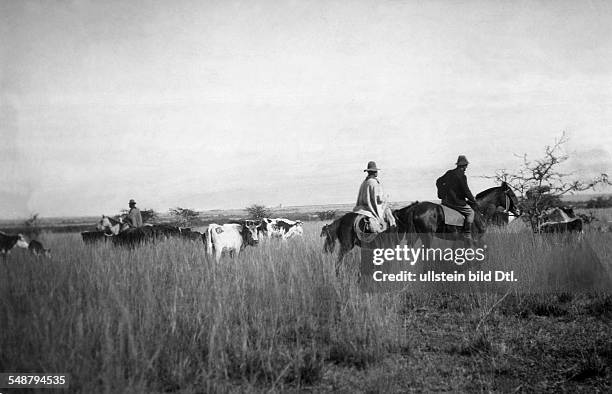 South America - Argentina: gauchos in the pampa - 1928 - Photographer: Felix Bagel - Published by: 'Die Gruene Post' 45/1928 Vintage property of...