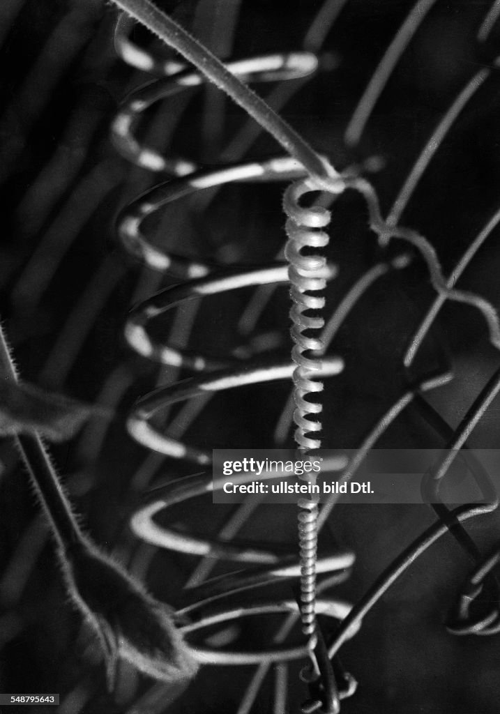Coil Spring Side View Loop Close view of a coil spring - ca. 1936 - Photographer: Heinz... News ...