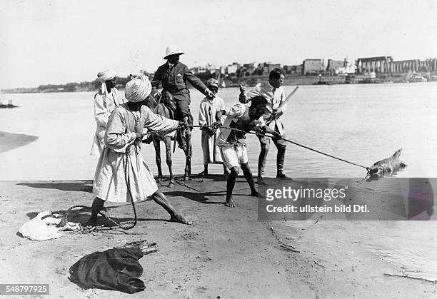 Egypt : catching a crcodlie on the river Nile - 1929 - Photographer: Frankl - Vintage property of ullstein bild