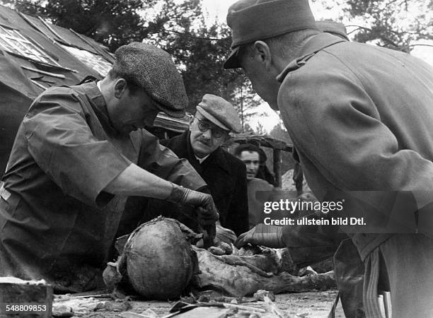 World War, Soviet Union, Katyn massacre 1940: exhumation of corpses by a german guided investigation commission, dissection of a corpse - 1943 -...