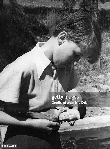 Germany : pupils of a South German school, a boy feeding a dove - 1933 - Photographer: Kurt Huebschmann - Vintage property of ullstein bild