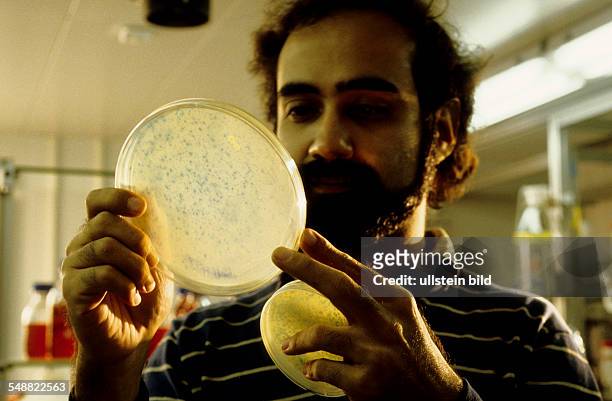 Switzerland, Europe: Institute for Immunology. Bacteriums in a Petri dish