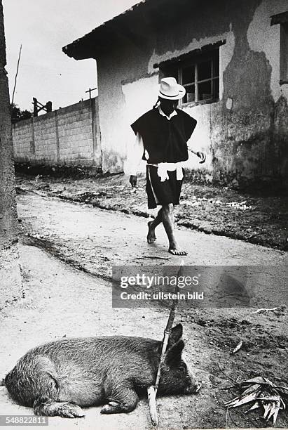 Mexico: Street scene in a village in Chiapas.