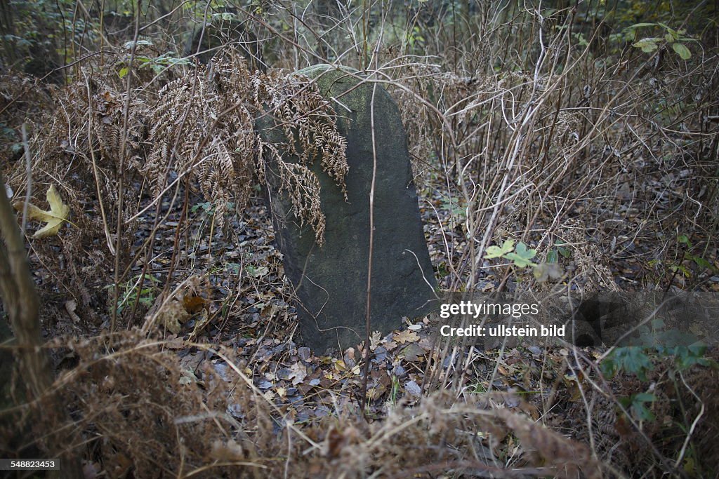 Poland, Lodz, Jewish cemetery