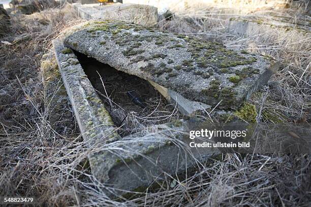 Poland, Lodz, Jewish cemetery